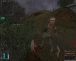 .jpg