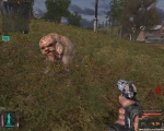  .jpg