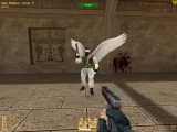 defense0019.jpg