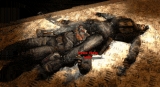 untitled-1 (2).gif