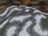 grass_test2_0000.jpg