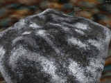 grass_test2_0002.jpg