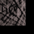 lm_0000.jpg