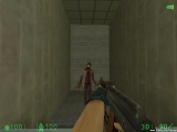 test10008.jpg